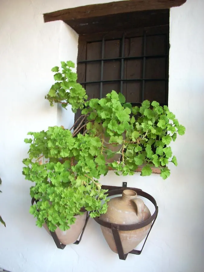 別荘 San Pablo Cortijo Don Pabloヴィラ スペイン